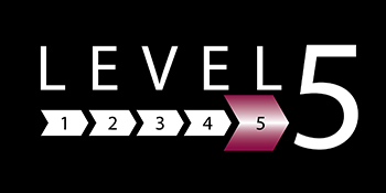 Level 5